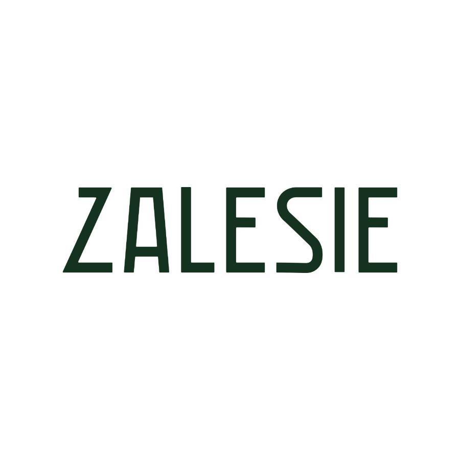 Nocleg ze śniadaniem Zalesie *